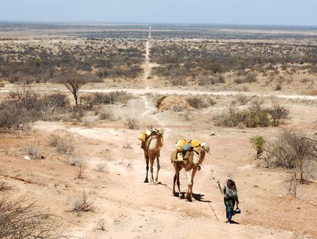 droughtmigrationindesert.jpg