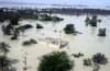 inundation1_small.jpg